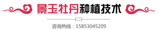 菏澤建源新型建筑材料有限公司